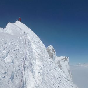 Bilder Sur le fil de Darwin - la dernière Terre inconnue