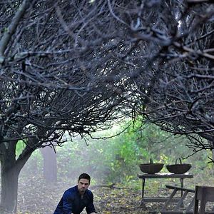 Bilder Jay Ryan (III)