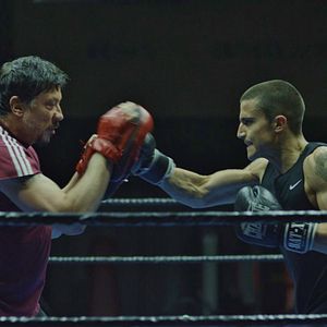 Bilder Scorpion: Brother. Skinhead. Fighter.