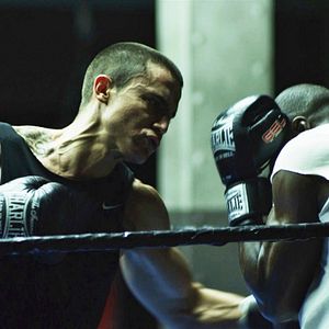 Bilder Scorpion: Brother. Skinhead. Fighter.