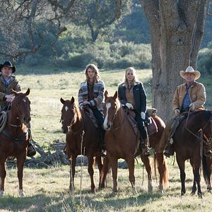Bilder Ungezähmte Herzen - Ein Mustang zum Verlieben