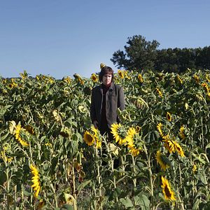 Bilder Happy Metal - All We Need Is Love!