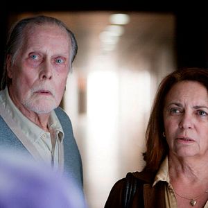 Bilder Jack Taylor (II)