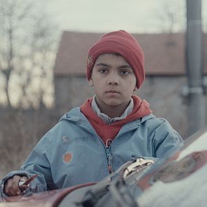 Bilder My Dog Killer