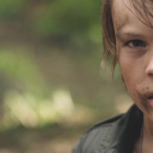 Bilder I Declare War