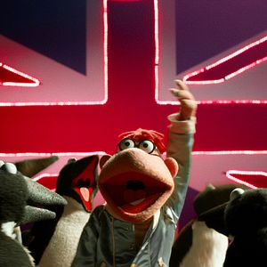 Bilder Die Muppets 2: Muppets Most Wanted