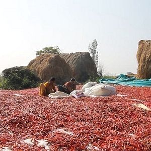 Bilder Chellaponnu - Nette Mädchen