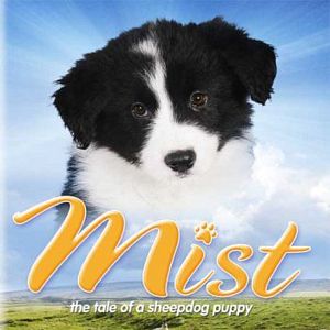 Bilder Bebu - Ein Hund für alle Schafe