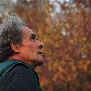 Bilder Le Monde en un jardin