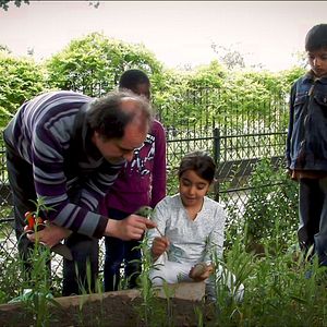 Bilder Le Monde en un jardin