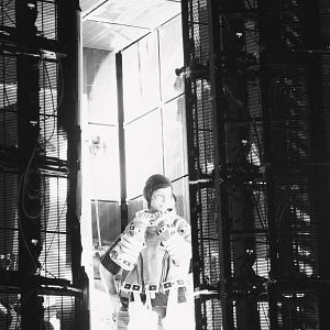 Bilder Sandra Bullock