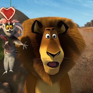 Bilder Verrücktes Madagascar