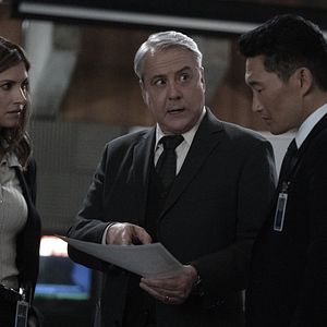 Bilder Dawn Olivieri