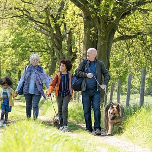 Bilder Mit Herz und Hund