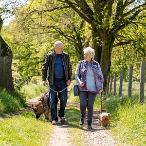 Bilder Mit Herz und Hund