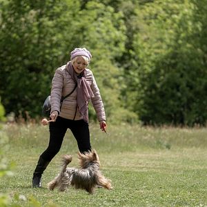 Bilder Mit Herz und Hund