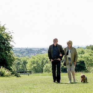 Bilder Mit Herz und Hund