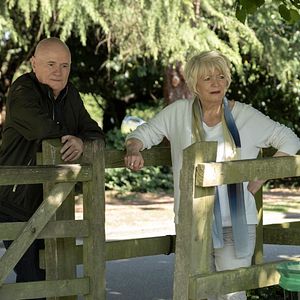 Bilder Mit Herz und Hund