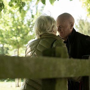 Bilder Mit Herz und Hund