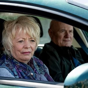 Bilder Mit Herz und Hund