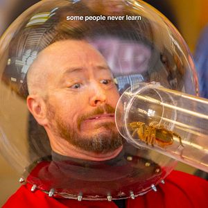 Bilder Jackass Forever