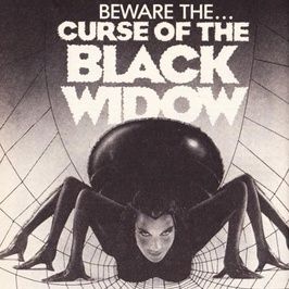 Bilder Der Fluch der schwarzen Witwe