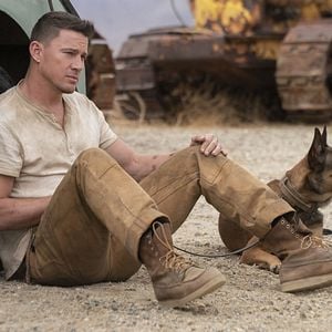 Bilder Dog - Das Glück hat vier Pfoten