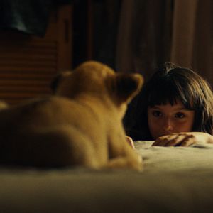 Bilder Lou Lambrecht