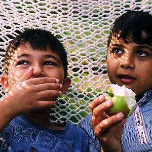 Bilder Heimat sucht Seele