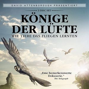 Bilder Könige der Lüfte