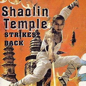 Bilder Shaolin Temple Strikes Back