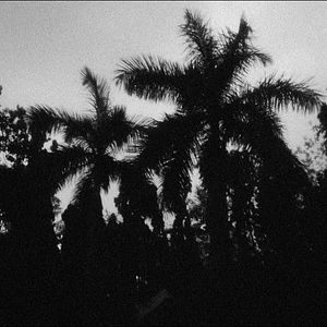 Bilder A Night Of Knowing Nothing