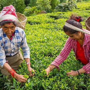 Bilder Mahendra Highway