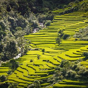 Bilder Mahendra Highway