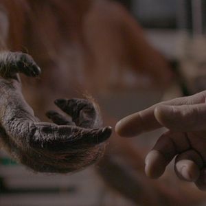 Bilder The Second Life - Das zweite Leben