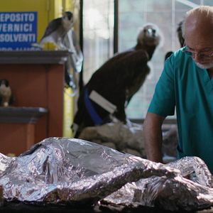 Bilder The Second Life - Das zweite Leben