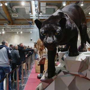 Bilder The Second Life - Das zweite Leben