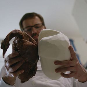 Bilder The Second Life - Das zweite Leben