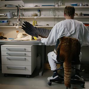 Bilder The Second Life - Das zweite Leben