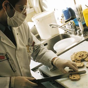 Bilder Trouble Every Day