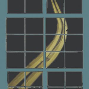 Bilder Happer's Comet