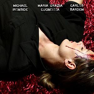 Bilder Transgression