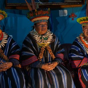 Bilder Heil dich doch selbst