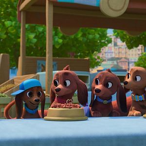 Bilder Brezel und seine Dackel-Familie