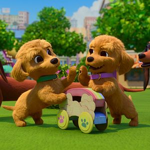 Bilder Brezel und seine Dackel-Familie