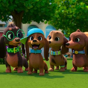 Bilder Brezel und seine Dackel-Familie