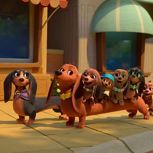 Bilder Brezel und seine Dackel-Familie