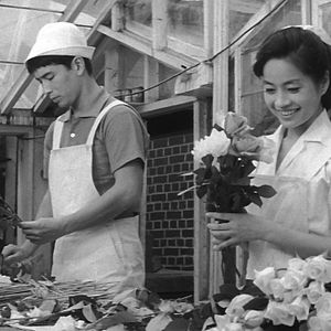 Bilder Onna bakari no yoru