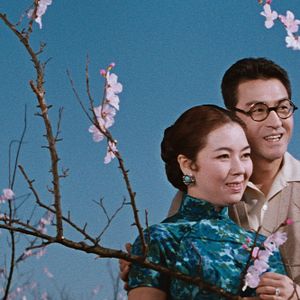 Bilder The Wandering Princess