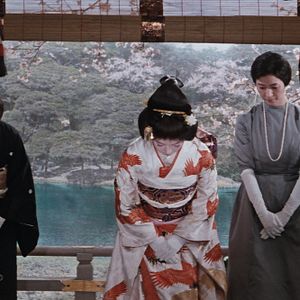 Bilder The Wandering Princess